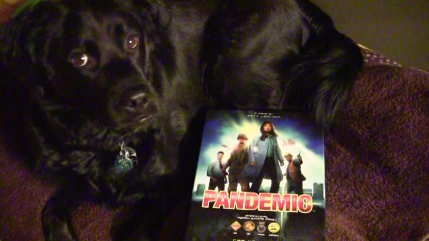 Pandemic Strategy Primer