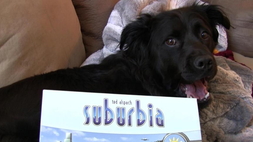 Suburbia Strategy Primer